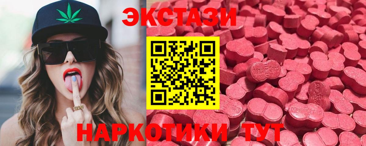 МЕФ Гудермес