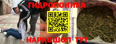 PSILOCYBIN Владивосток