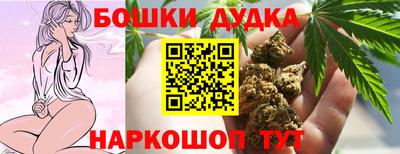 мдпв Владимир