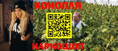 мдпв Владимир