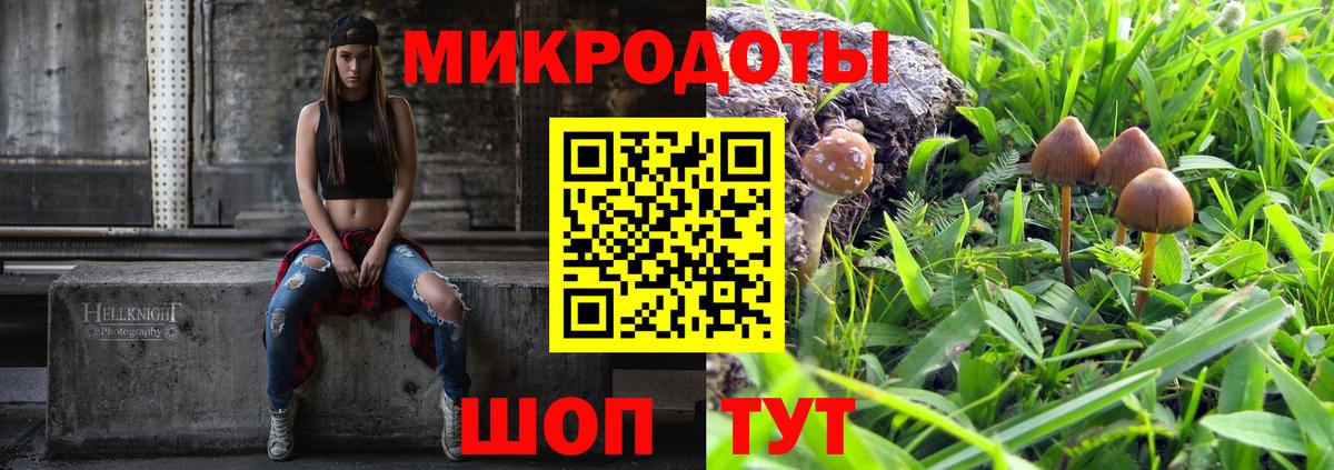 Псилоцибиновые грибы Psilocybine cubensis Гудермес